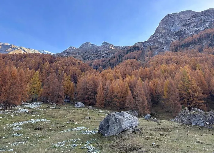 Panoramic Alpine Garden Retreat Appartamento Vissoie